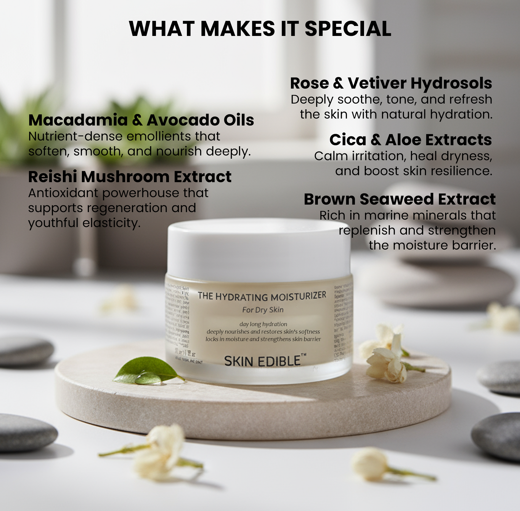 THE HYDRATING MOISTURIZER