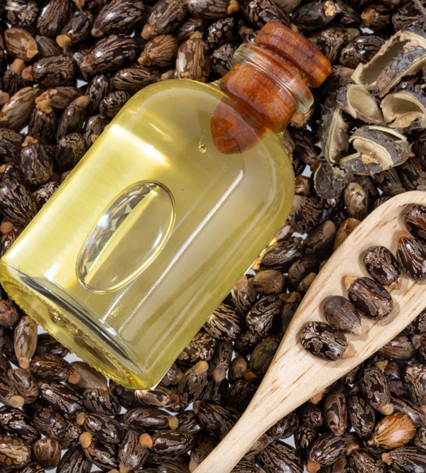 Castor Seed Oil