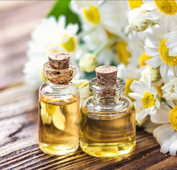 Chamomile Flower Oil