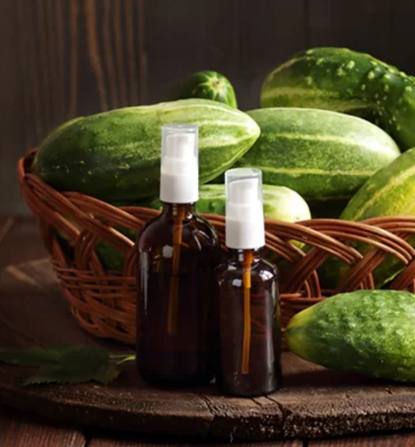 Comfrey Root Extract