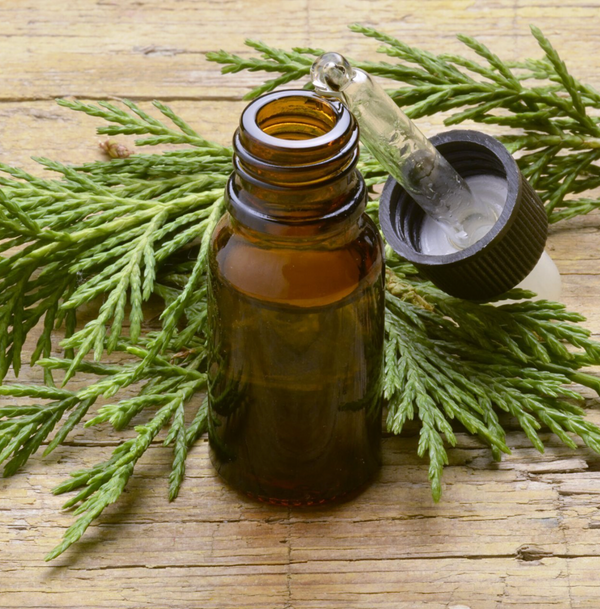 Cypress Oil