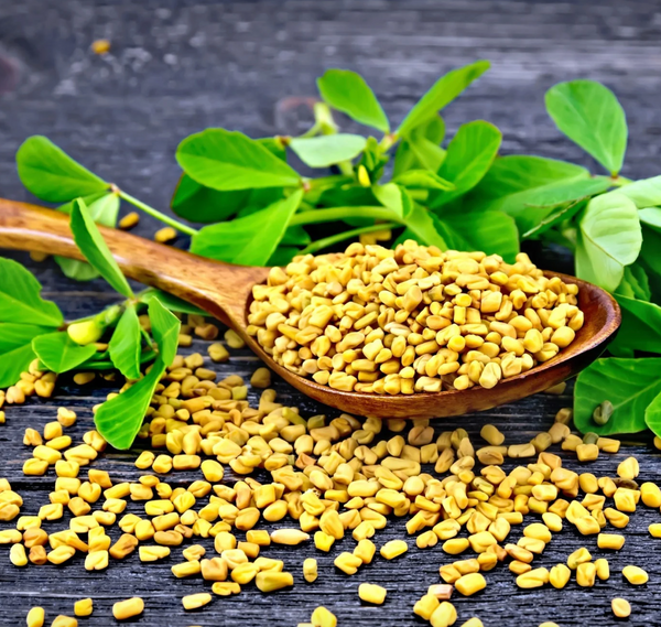 Fenugreek Seed Extract